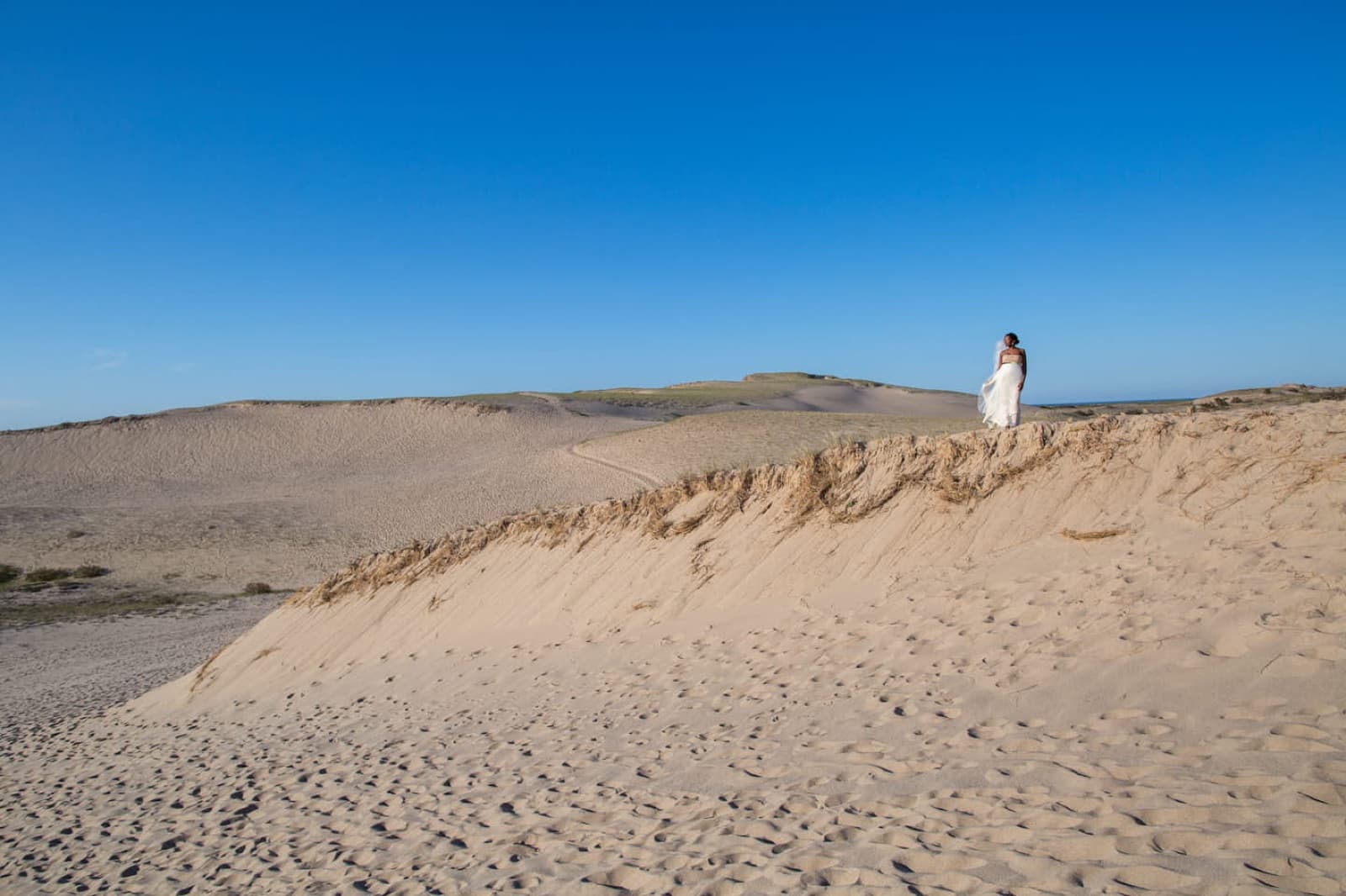 Manhattan Wedding Venues With Published Prices