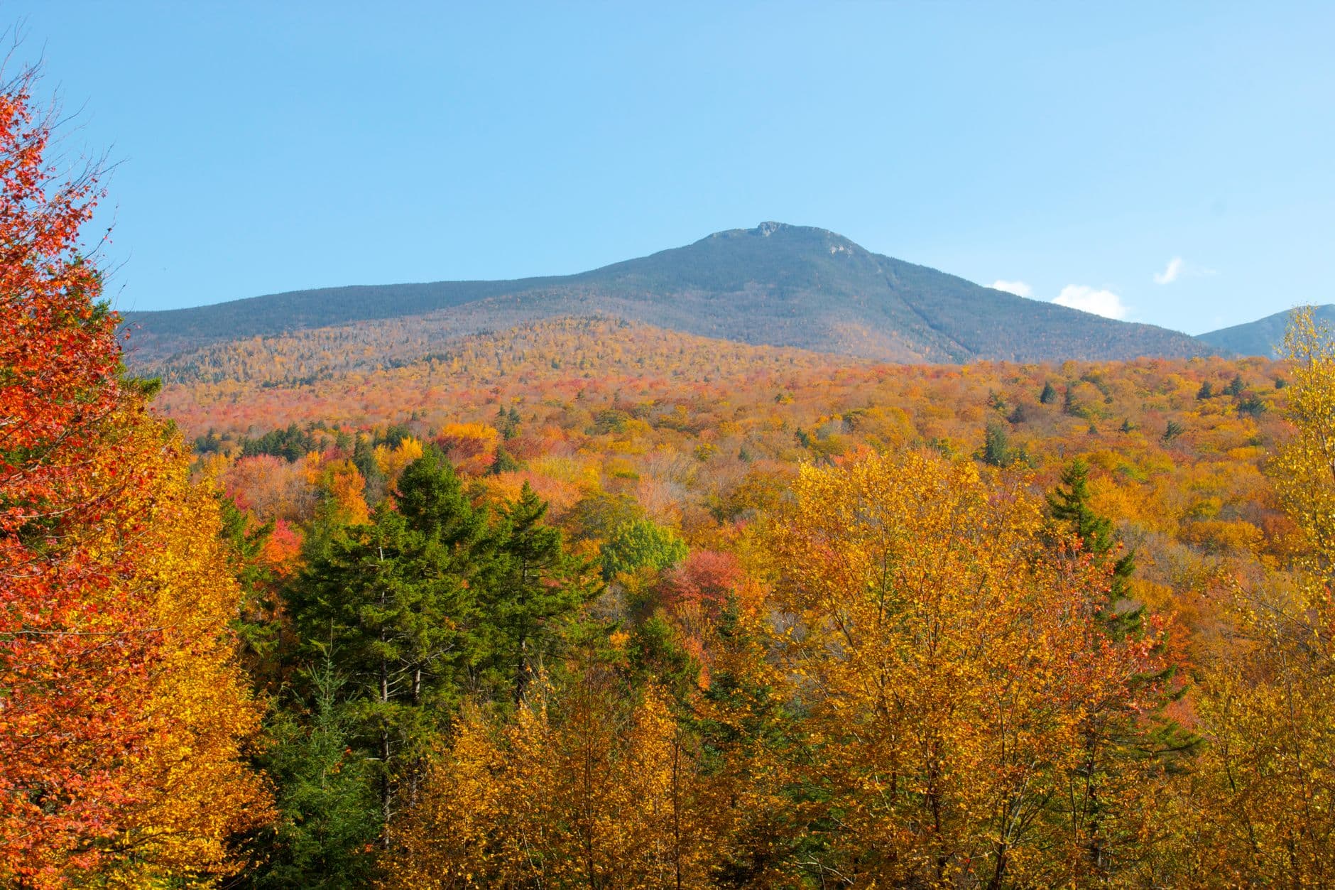 Average Cost of a Wedding in New Hampshire (2026)